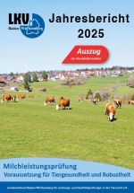 Deckblatt 2025 Auszug