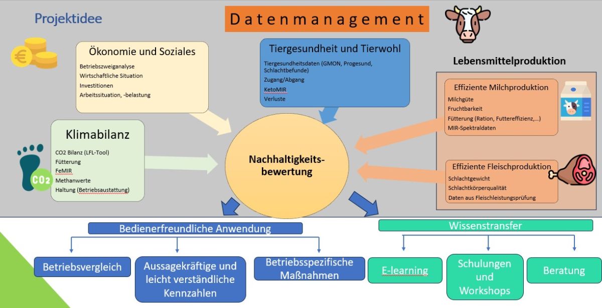 Screenshot 2025 12 16 075141