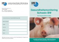 Flyer GMON Schwein
