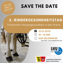 Save The Date (2) Save The Date (2)