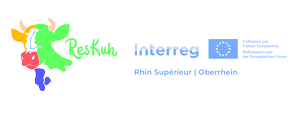 Reskuh Et Interreg 2048px