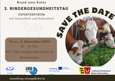 Rindergesundheitstag Flyer