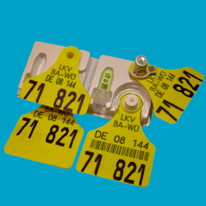 LKV Baden-Württemberg - Aufgaben der Tierkennzeichnung